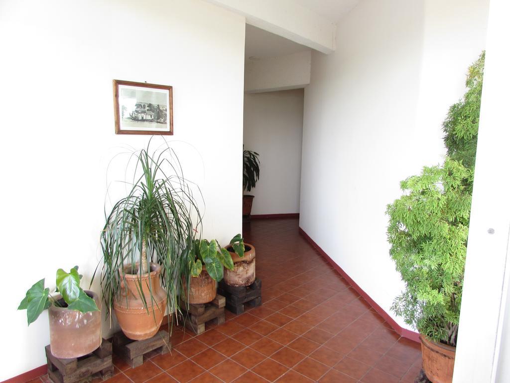 Hotel Puerto Piedra 푸에르토 에스콘디도 외부 사진