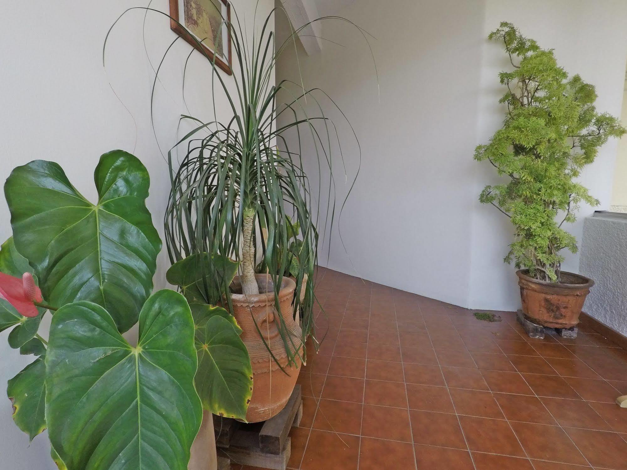 Hotel Puerto Piedra 푸에르토 에스콘디도 외부 사진